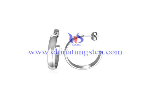 tungsten carbide earring image